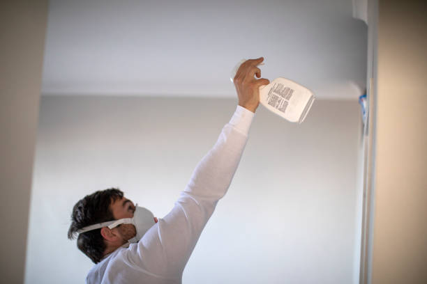 Best Affordable Mold Removal  in Little River Academy, TX