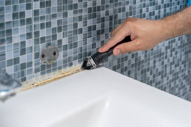 Best Certified Mold Removal  in Little River Academy, TX
